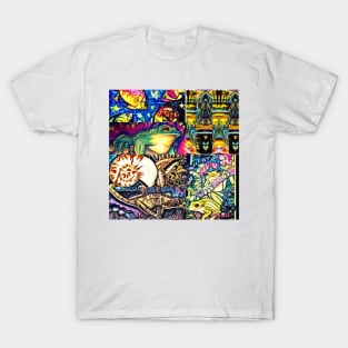 Shell frog combo T-Shirt